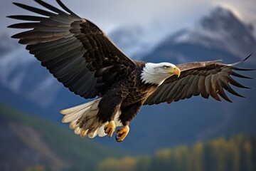 Imposing Majestic eagle. Flying sky bird. Generate Ai