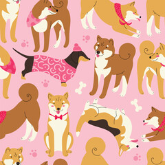 Obraz na płótnie Canvas Vector seamless pattern with cute dogs, Corgi, Shiba inu, Dachshund, Akita.