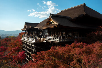 Fototapeta na wymiar 清水寺の紅葉 京都の秋の風景