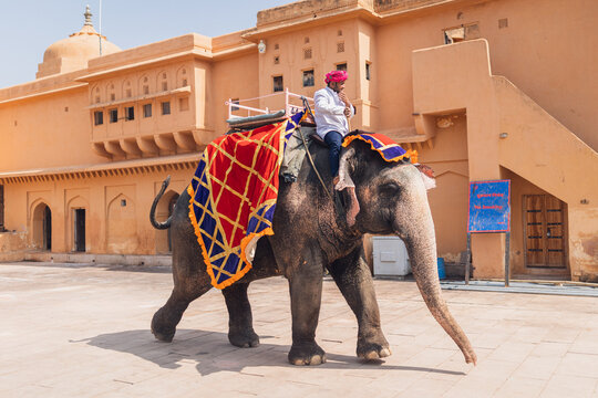 Elephant ride, Amer Fort, Jaipur, Rajasthan, India