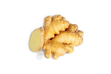 close up Fresh raw ginger root or rhizome with slice isolated cut out on transparent background,PNG format