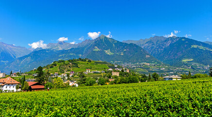 Meran in Südtirol (Italien)