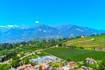 Foto op Canvas Meran in Südtirol (Italien) © Ilhan Balta