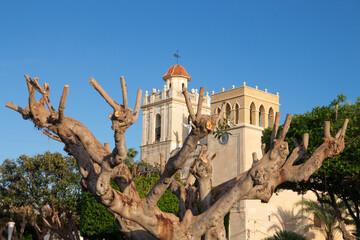 Vega Baja del Segura - Benejúzar - Iglesia de Nuestra Señora del Rosario en la plaza de España y Santuario de la Virgen del Pilar