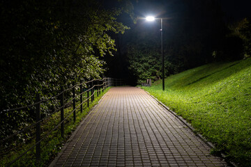 The path in the park is lit by a street lamp at night. There is a sloped lawn and trees. The path...