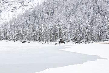 View of Braies Lake frozen in a snowy winter day; Trees on background; Dolomites; Alto-Adige, Italy