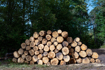 Empilement de troncs d'arbres