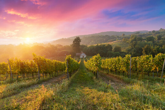 Red wine bottle and wine glass on wodden barrel. Beautiful Tuscany background. High quality photo