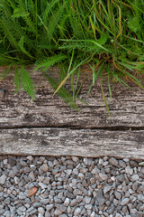 green moss on stone wall,Stone walkway up in the garden natural ,grass wood and stones background
