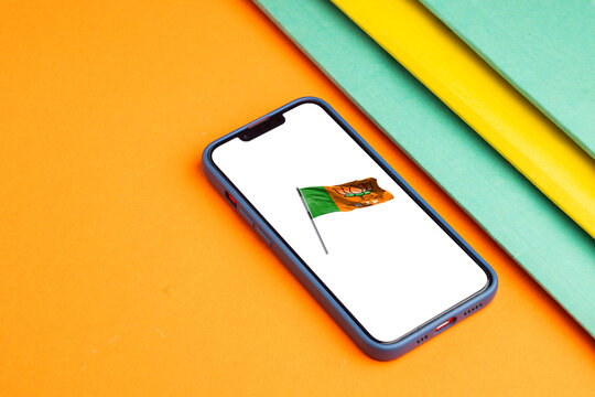  Bhartiya Janata Party flag