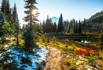 Frosty autumn colors in Mt. Rainier National Park