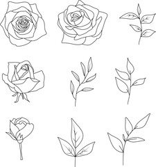 Set of floral sketches. Rose flowers, leaves. Wedding concept.