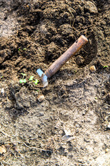 scoop and seedling prepared for planting in the ground in a greenhouse - gardening and people concept