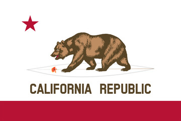 California Surfing Republic