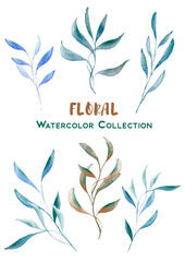 wonderful floral watercolor collection