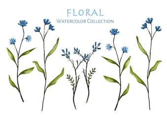 Fototapeta na wymiar wonderful floral watercolor collection
