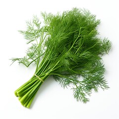 A bundle of fresh dill, adding herbal appeal on white background