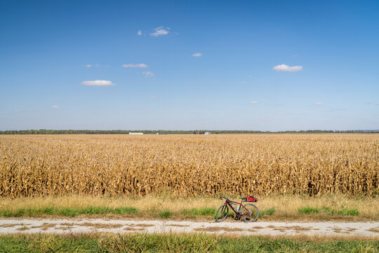 corn field ready for harvest along Steamboat Trace Trail converted from old railroad near Peru, Nebraska, gravel bike