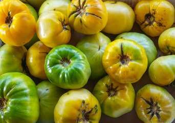 close up on colorful tomato as food background 