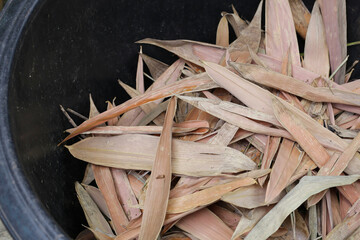 Yellow brown dried bamboo leaves