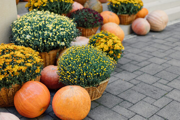 Pumpkins with flowers and rustic hay decoration outdoors