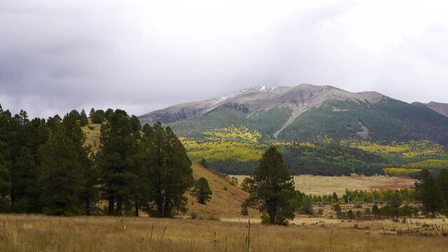 Fall in Hart Prairie of Northern Arizona, Flagstaff, America, USA.