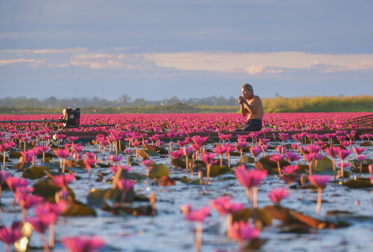Fisherman in a boat smoking a cigarette, Red Lotus Sea (Talay Bua Daeng), Udon Thani, Thailand