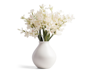 vase with beautiful white flowers, png file of isolated cutout object with shadow on transparent background.