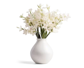 Fototapeten vase with beautiful white flowers, png file of isolated cutout object with shadow on transparent background. © Аrtranq