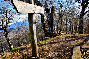 丹沢山地の菰釣山山頂
