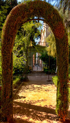 Jardín Botánico de la Universidad de Granada, España