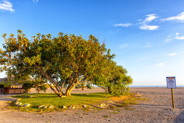 Colores de la Costa Tropical en las playas de Motril, Granada, España