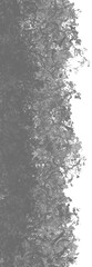 Gray Floral Plants Texture Overlay