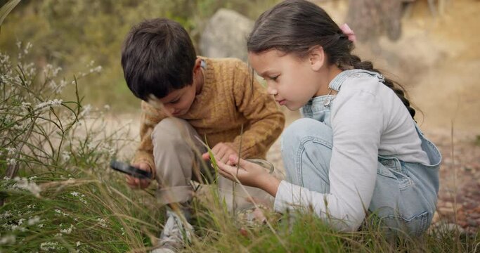 Adventure, magnifying glass and children exploring in the mountain for outdoor discovery together. Nature, fun and young kids playing with plants for research on a hike in countryside on vacation.
