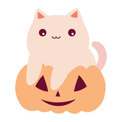 halloween pet cute pumpkin
