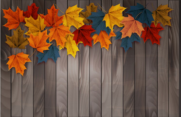 Autumn nature background with colorful leaves on vintage wooden sign. Vector illustration.