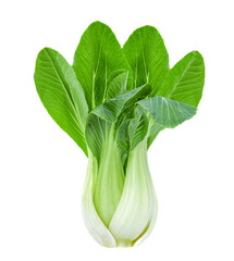 Baby vegetables Choy isolated on   transparent png