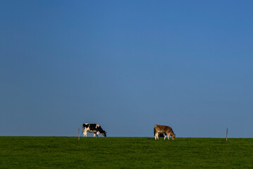Allg&auml;u Bayern Landwirtschaft und Landschaft