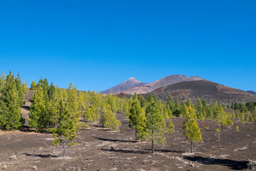 Landschaft auf Teneriffa