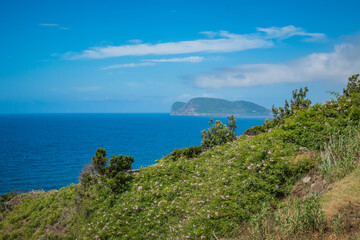 Obraz premium Hill with wild vegetation and flowers overlooking the blue sea and Monte Brasil in the background, Terceira - Azores PORTUGAL