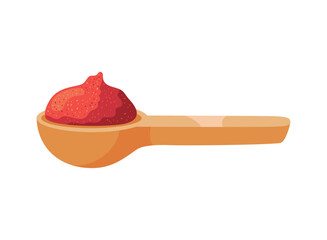 chili pepper powder spoon
