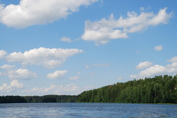Forest lake under the clouds. On a sunny summer day, small cumulus clouds hang in the blue sky. Below them is a lake with blue transparent water. A coniferous forest grows on the shore of the lake.