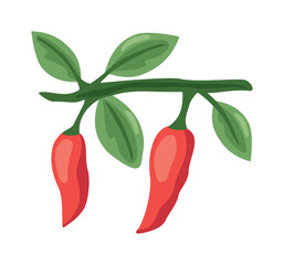 chili peppers design