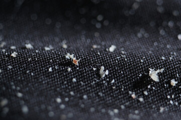 Macro shot of dandruff on black cloth