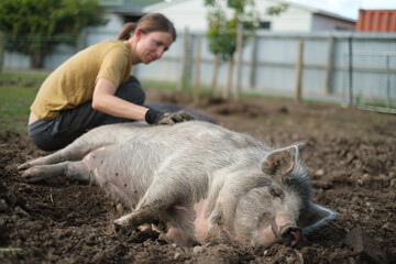 Woman patting her pet kunekune pig which is lying on the ground looking contented