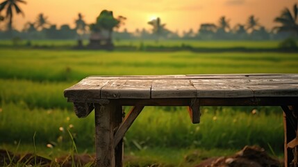 Fototapeta premium old wooden table next to green rice fields in the evening at sunset