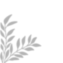 Leaves Shadow Overlay