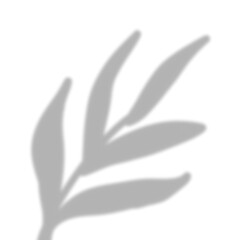 Fototapeta premium Leaves Shadow Overlay