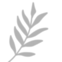 Leaves Shadow Overlay