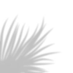 Leaves Shadow Overlay